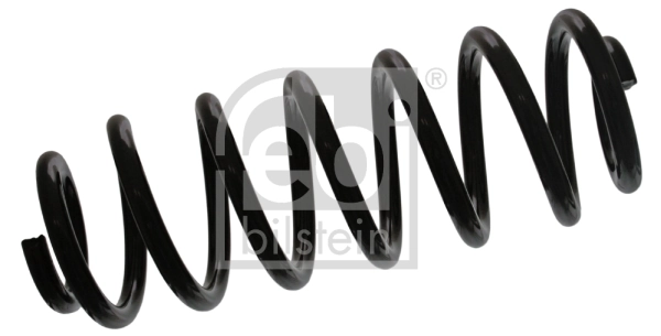 Suspension Spring
